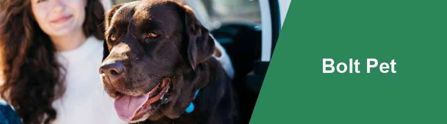 Bolt Pets