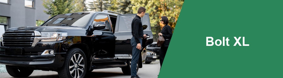 Bolt XL